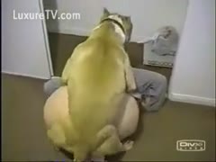 A fat middle-aged whore is being raped by her violent dog.